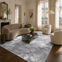 Tapis Modern Design Gris et Blanc - Brume