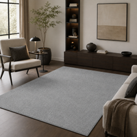 Tapis Uni Gris Clair - Elio